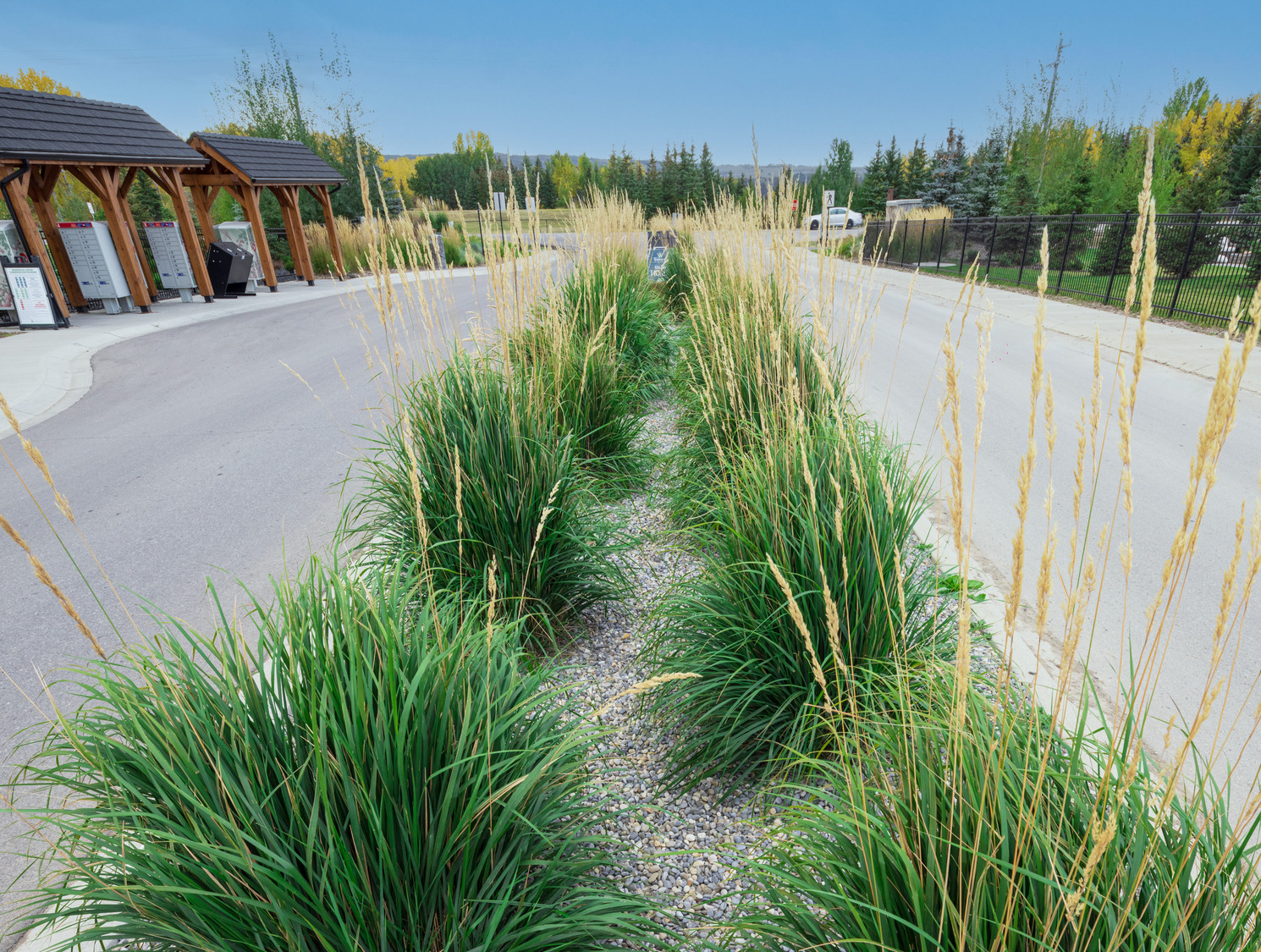 A landscaped median with tall grass and ornamental plants divides a paved pathway beside a wooden shelter.