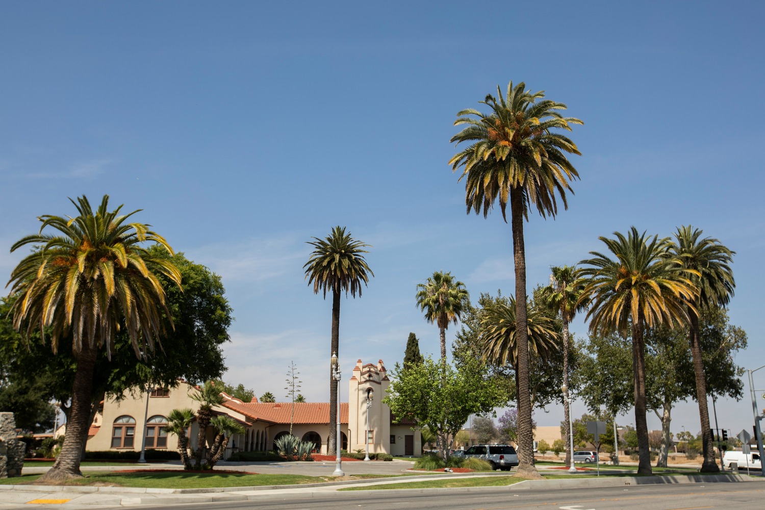 A street with tall palm trees and several office-like buildings, a clear blue sky overhead.