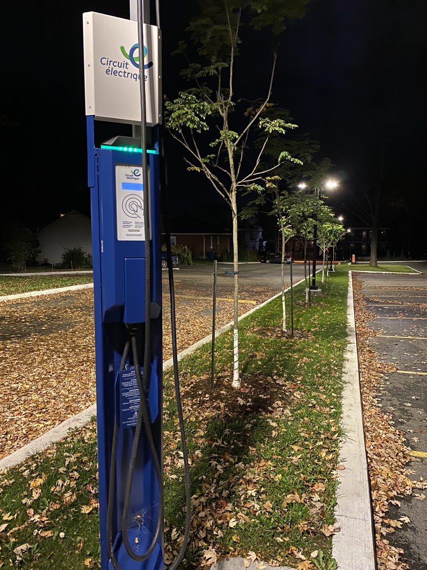 Electric vehicle charging station at night, surrounded by trees and fallen leaves.